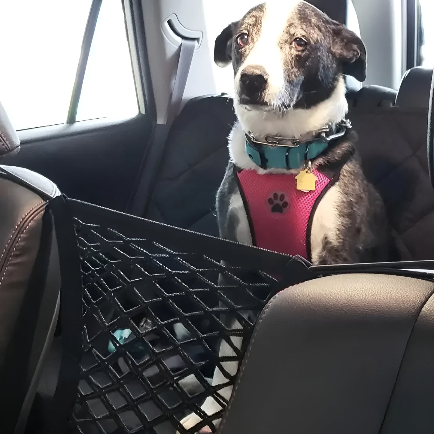 Car Seat Dog Barrier