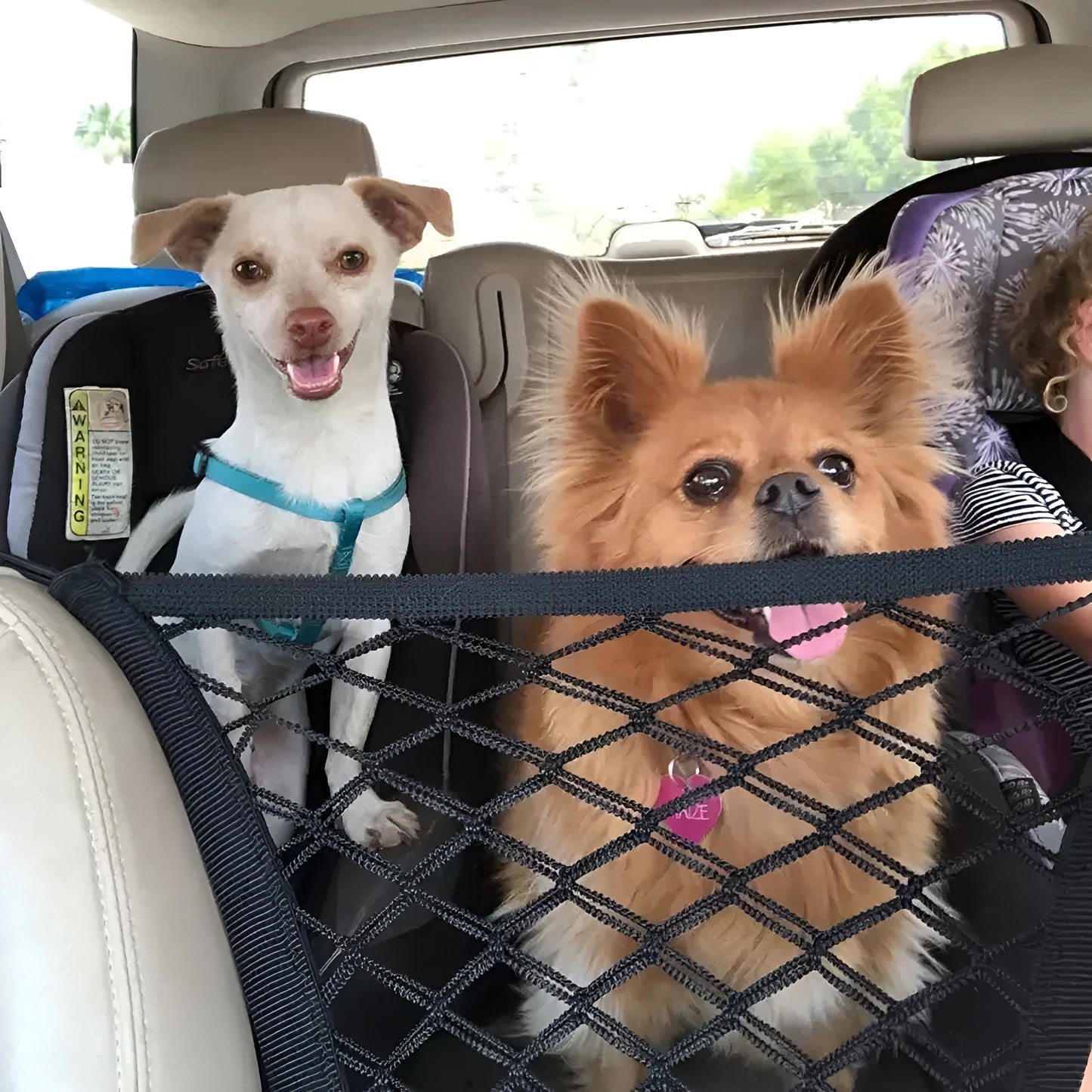 Car Seat Dog Barrier
